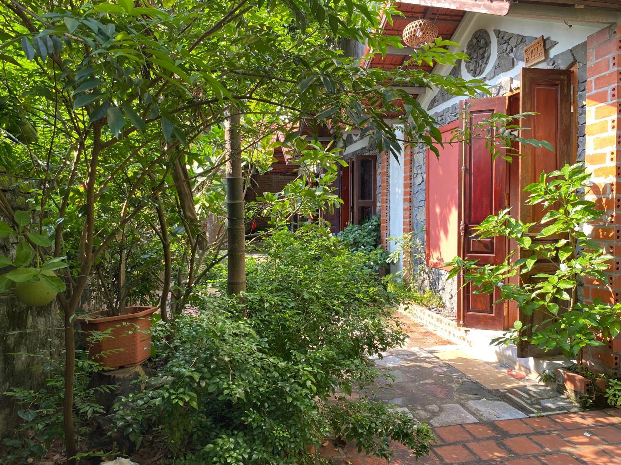 Tam Coc Ngo Dong Homestay Ninh Binh Bagian luar foto